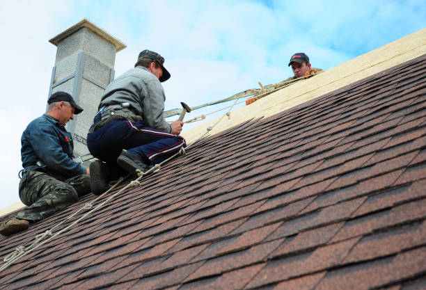 Best Residential Roofing Contractor  in Hawaiian Ocean View, HI